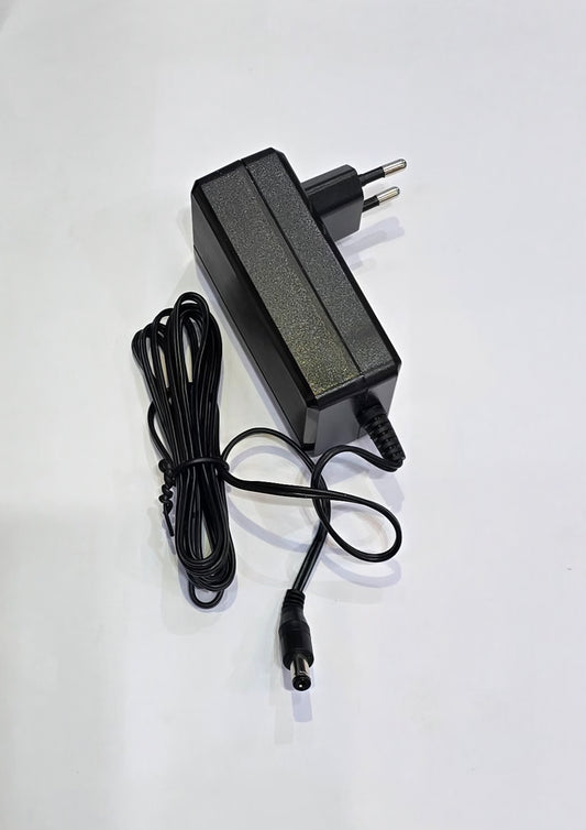Adaptateur AC/DC 24V 1A LYD2401000B