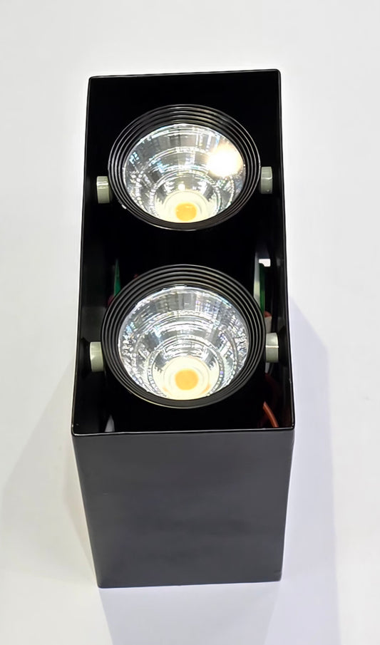 Double Spot Rectangulaire en Saillie 2x4W  LED CREE